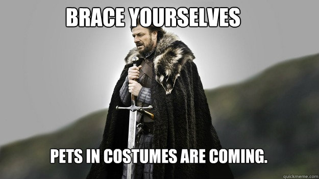 Brace yourselves Pets in Costumes are coming.  Ned stark winter is coming