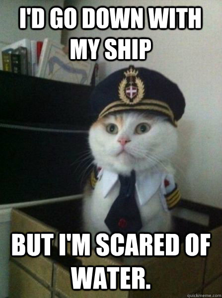 I'd go down with my ship But I'm scared of water.  Captain kitteh
