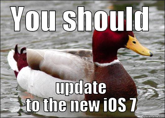 YOU SHOULD UPDATE TO THE NEW IOS 7 Malicious Advice Mallard