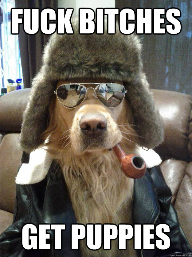 Fuck Bitches Get Puppies  Overly Suave Dog