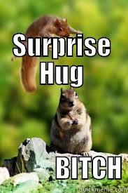         SURPRISE HUG                       BITCH Misc