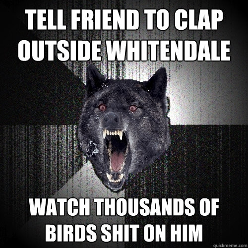 Tell friend to clap outside Whitendale Watch thousands of birds shit on him  Insanity Wolf