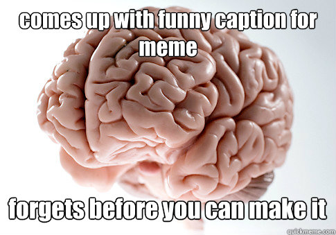 comes up with funny caption for meme forgets before you can make it   Scumbag Brain