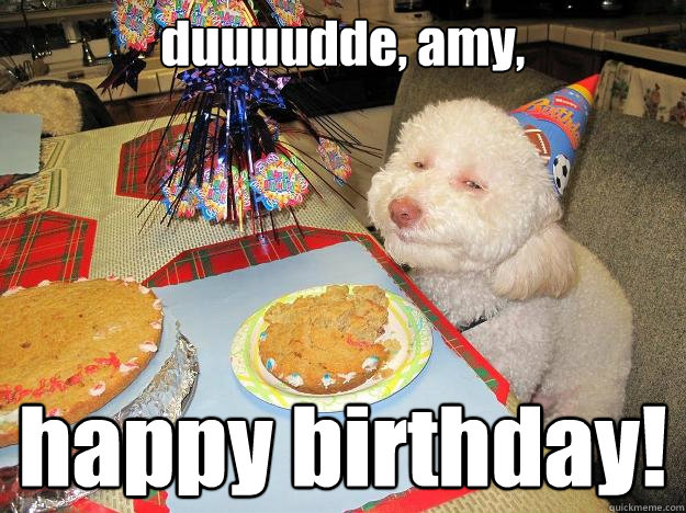 duuuudde, amy, happy birthday!  Stoned Birthday Dog