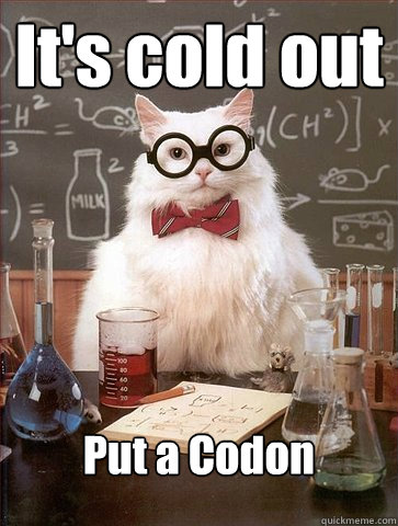 It's cold out Put a Codon  Science Cat