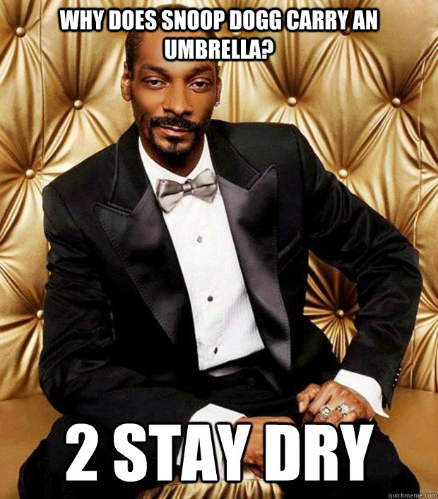 Why does snoop dogg carry an umbrella? 2 stay dry Serious Answer