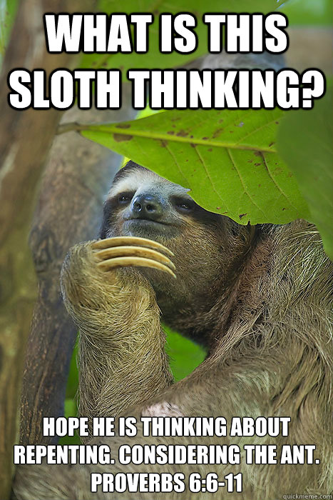 What is this sloth thinking? Hope he is thinking about repenting. considering the ant. Proverbs 6:6-11  Philososloth