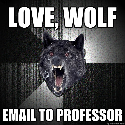 The Wolf In Heat Likes His Professor love, wolf email to professor - Insanity Wolf - quickmeme