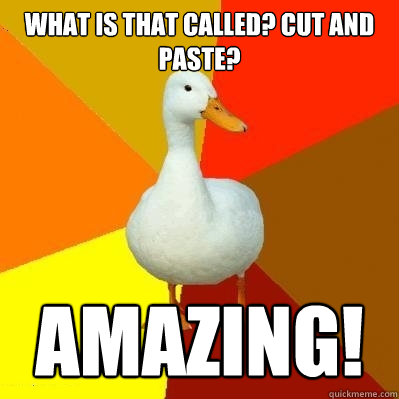 what is that called? cut and paste? amazing!  Tech Impaired Duck