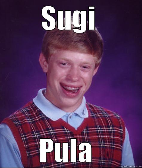 SUGI PULA  Bad Luck Brian