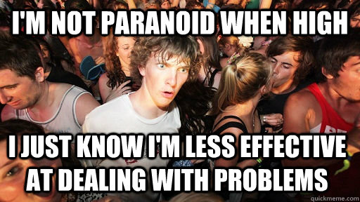 I'M NOT PARANOID WHEN HIGH I JUST KNOW I'M LESS EFFECTIVE AT DEALING WITH PROBLEMS  Sudden Clarity Clarence