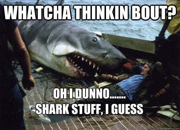 whatcha thinkin bout? oh i dunno.......
shark stuff, i guess - whatcha thinkin bout? oh i dunno.......
shark stuff, i guess  Misc