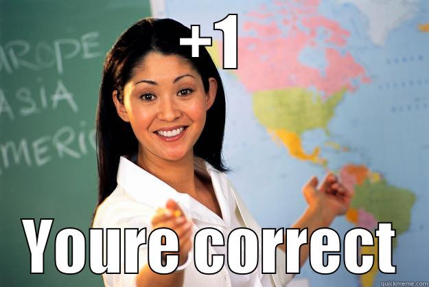 +1 YOURE CORRECT Unhelpful High School Teacher