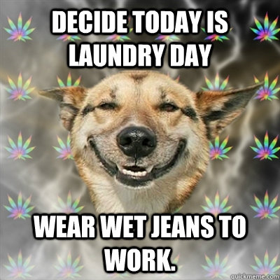 Decide today is laundry day wear wet jeans to work.  Stoner Dog