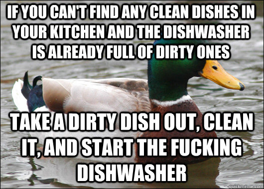 If you can't find any clean dishes in your kitchen and the dishwasher is already full of dirty ones Take a dirty dish out, clean it, and start the fucking dishwasher  Actual Advice Mallard