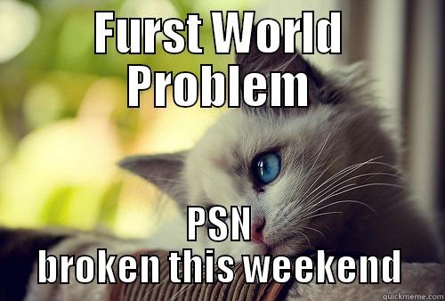 FURST WORLD PROBLEM PSN BROKEN THIS WEEKEND First World Problems Cat
