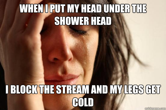When i put my head under the shower head i block the stream and my legs get cold  First World Problems