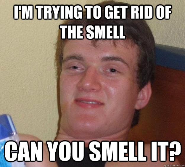 I'm trying to get rid of the smell Can you smell it?  10 Guy