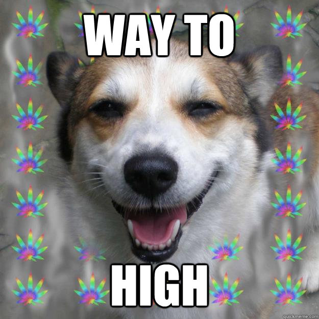 WAY To HIGH - WAY To HIGH  Stoner Dog 2