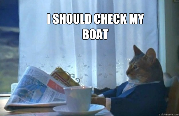 I should check my boat  Sophisticated Cat