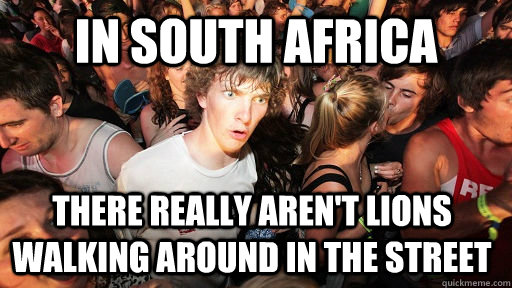 IN SOUTH AFRICA THERE REALLY AREN'T LIONS WALKING AROUND IN THE STREET  Sudden Clarity Clarence