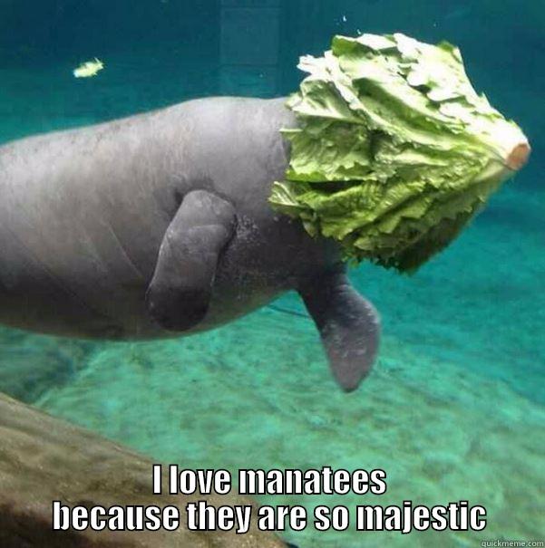 I LOVE MANATEES BECAUSE THEY ARE SO MAJESTIC Misc