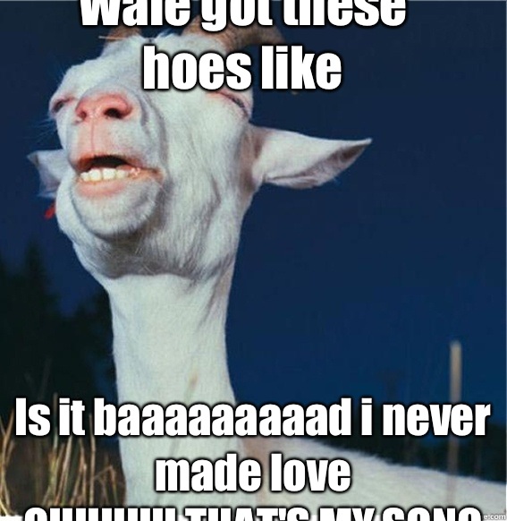 Wale got these hoes like  Is it baaaaaaaaad i never made love
OHHHHH THAT'S MY SONG  
