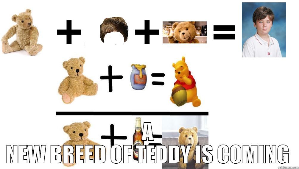  A NEW BREED OF TEDDY IS COMING Misc