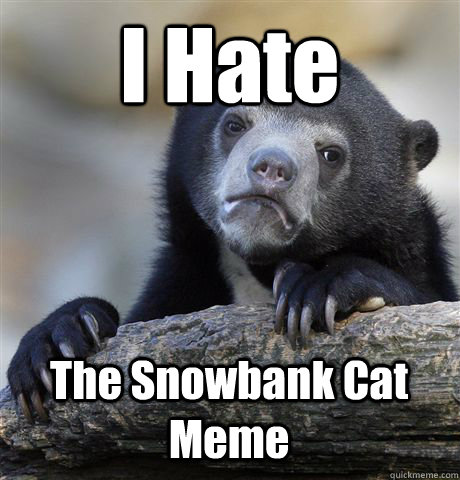 I Hate The Snowbank Cat Meme  Confession Bear