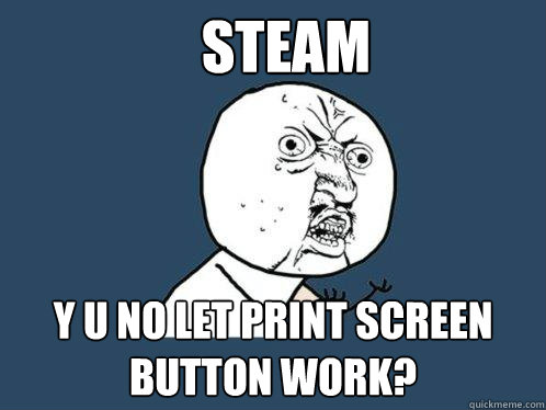 STEAM Y U NO LET PRINT SCREEN BUTTON WORK?  Y U No