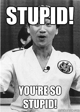 STUPID! YOU'RE SO STUPID! - STUPID! YOU'RE SO STUPID!  Kuni