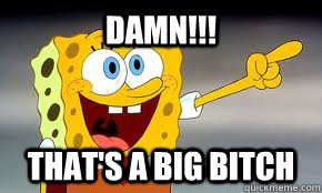 DAMN!!! THAT'S A BIG BITCH - DAMN!!! THAT'S A BIG BITCH  SPONGEBOB1