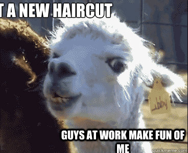 Get a new haircut guys at work make fun of me  