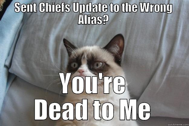 SENT CHIEFS UPDATE TO THE WRONG ALIAS? YOU'RE DEAD TO ME Grumpy Cat