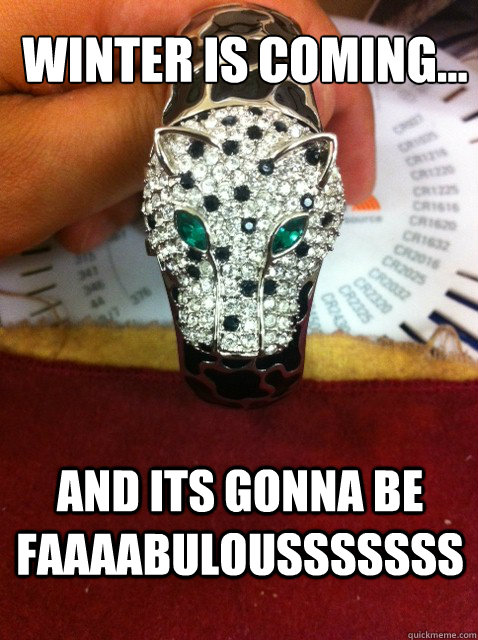 winter is coming... and its gonna be faaaabulousssssss - winter is coming... and its gonna be faaaabulousssssss  fab stark
