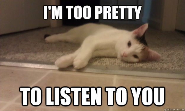 I'm too pretty to listen to you - I'm too pretty to listen to you  too pretty
