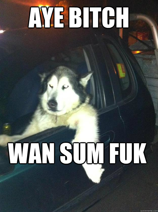 AYE BITCH WAN SUM FUK - AYE BITCH WAN SUM FUK  Mean Dog