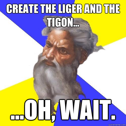 Create the liger and the tigon... ...oh, wait. - Create the liger and the tigon... ...oh, wait.  Advice God