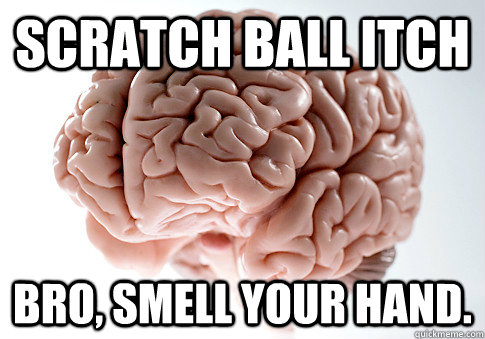 Scratch ball itch Bro, smell your hand.  Scumbag Brain