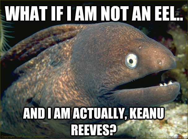 What if I am not an eel.. and I am actually, Keanu Reeves?  Bad Joke Eel