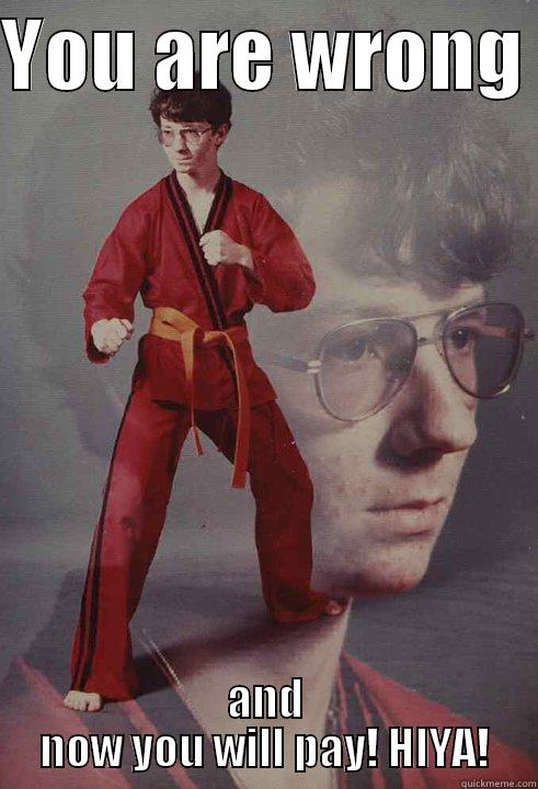 YOU ARE WRONG  AND NOW YOU WILL PAY! HIYA! Karate Kyle