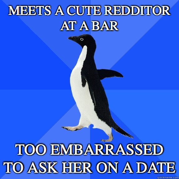 Meets a cute redditor at a bar too embarrassed to ask her on a date  Socially Awkward Penguin