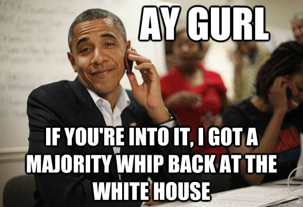 Ay gurl if you're into it, I got a majority whip back at the white house - Ay gurl if you're into it, I got a majority whip back at the white house  Misc