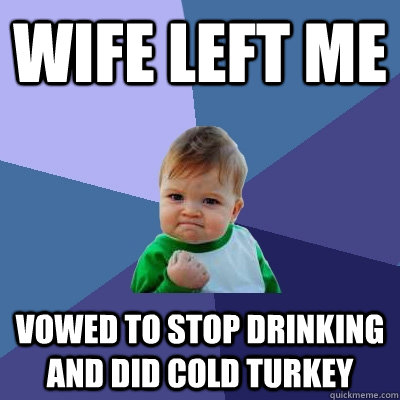 Wife left me Vowed to stop drinking and did cold turkey  Success Kid