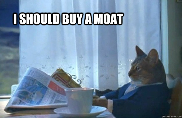 I should buy a moat  Sophisticated Cat