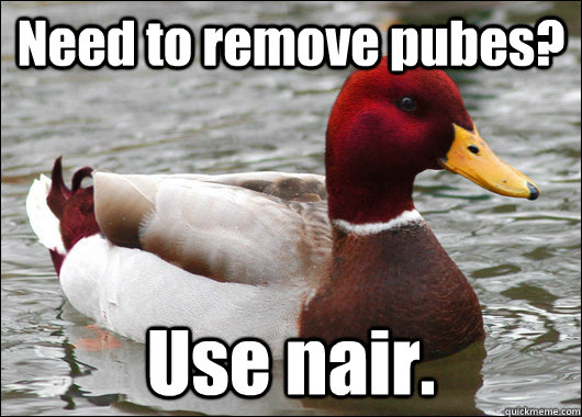Need to remove pubes? Use nair.  Malicious Advice Mallard