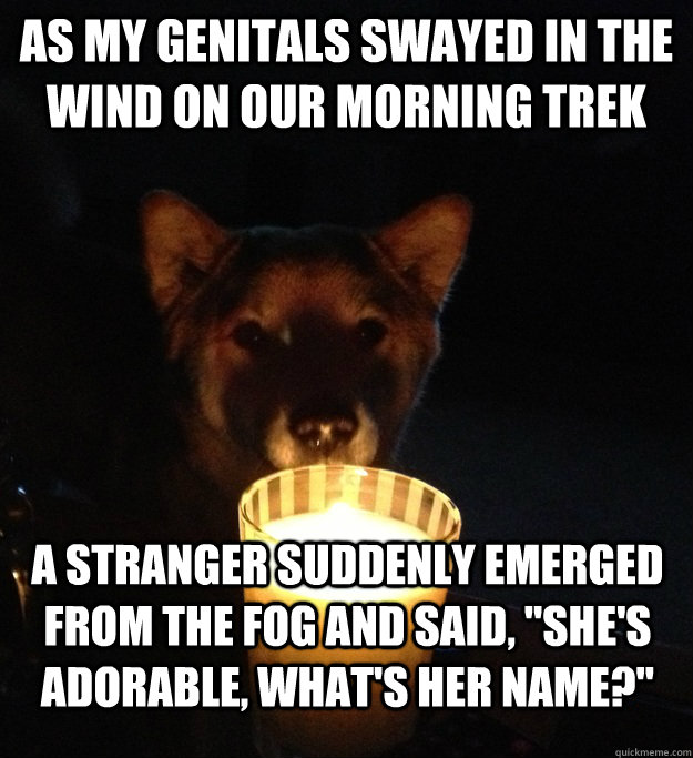 as my genitals swayed in the wind on our morning trek a stranger suddenly emerged from the fog and said, 