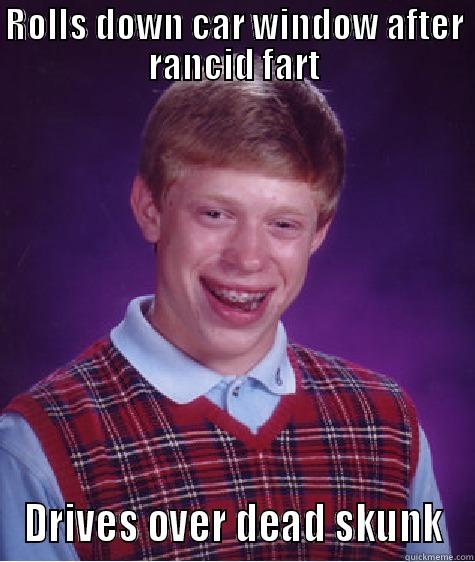 ROLLS DOWN CAR WINDOW AFTER RANCID FART DRIVES OVER DEAD SKUNK Bad Luck Brian