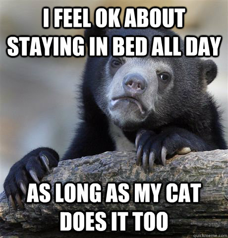 I feel ok about staying in bed all day as long as my cat does it too - I feel ok about staying in bed all day as long as my cat does it too  Confession Bear