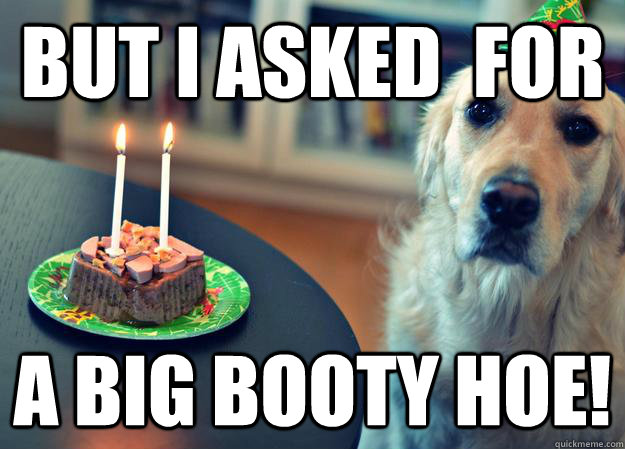 But i asked  for  a big booty hoe!  Sad Birthday Dog